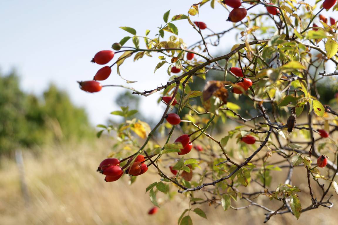 process-slider-image-2